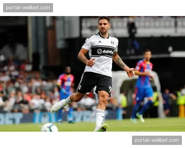 富勒姆防守组织层次分明 双中卫协同保护禁区效果明显